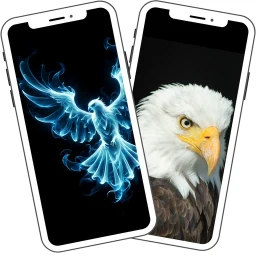 Kartal Duvar Kağıdı simgesi